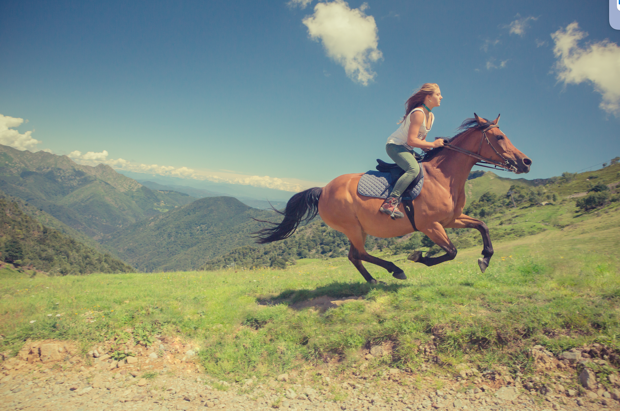 Horseback Riding