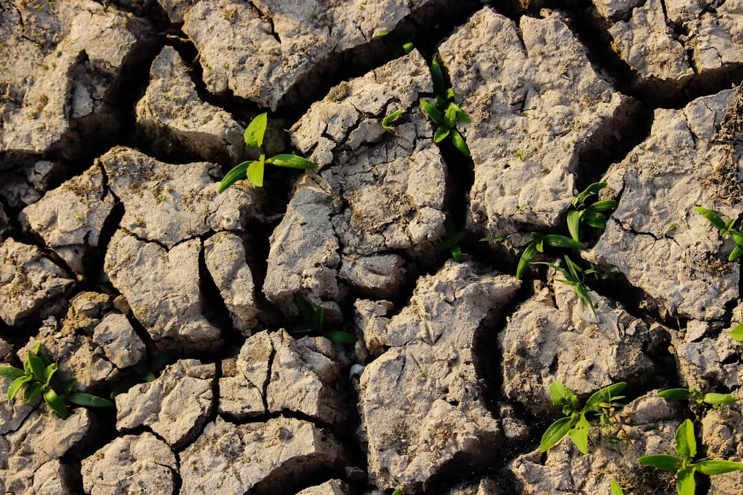 Exploring Soil Compaction Testing in Brown County, Indiana