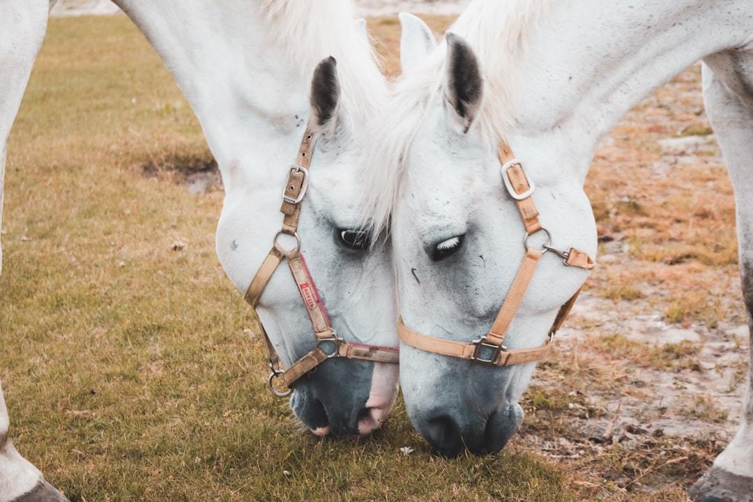 Explore Hand Feeding Fun in Brown County for Tourists
