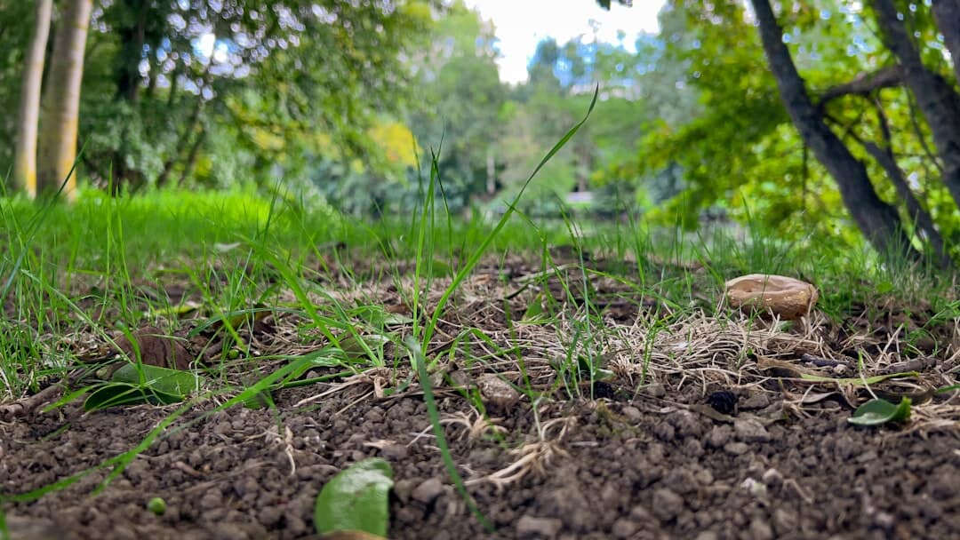 Soil Amendments What to Use When