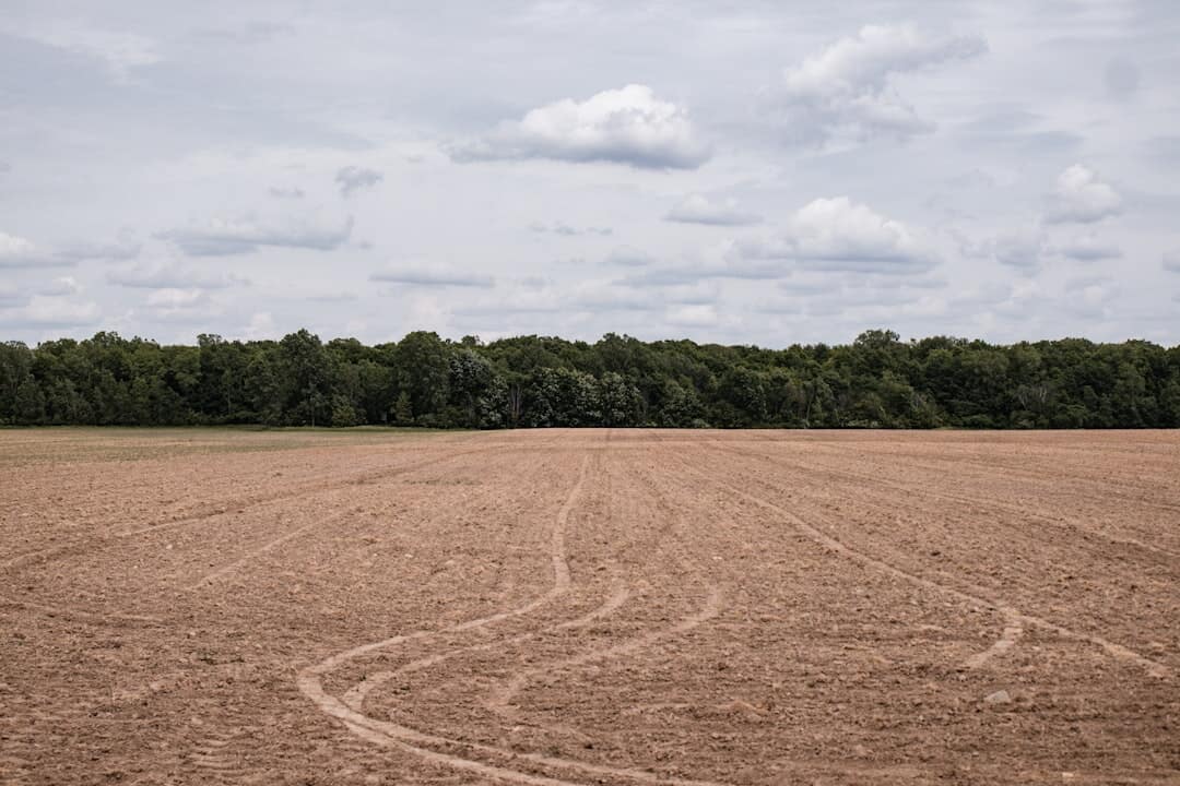 What is Soil Regeneration? A Guide to Healthy Soils