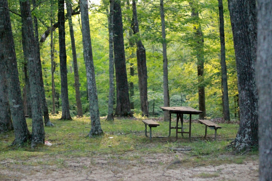 Most Scenic Places to Camp in the Midwest- Brown County, Indiana