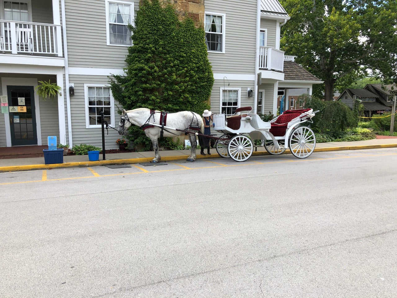 Horse and Buggy Ride