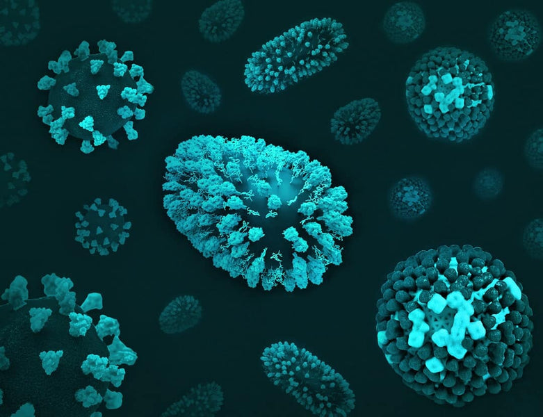 Exploring Microbes: A Hidden World in Brown County