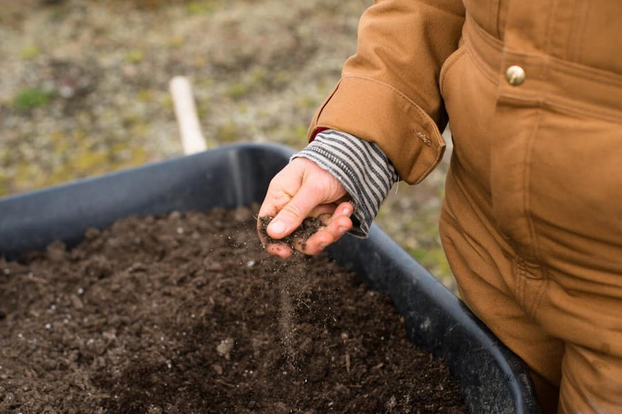 Explore Soil Regeneration on Your Brown County Visit