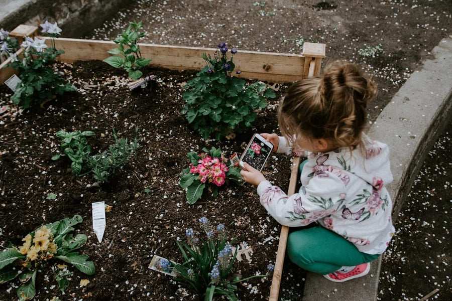 Discover Soil Regeneration Techniques in Brown County
