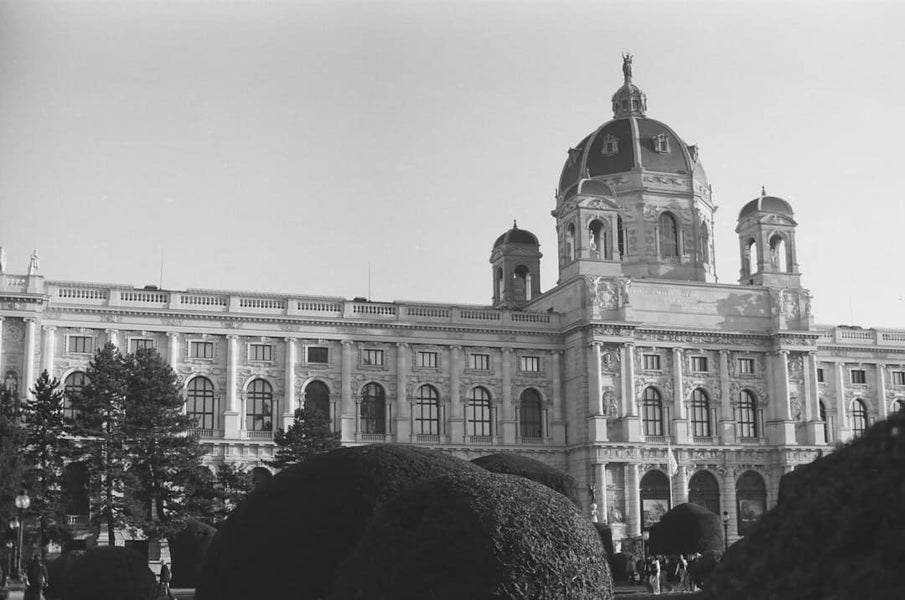 Viennese Please: A Guide to Brown County's Finest