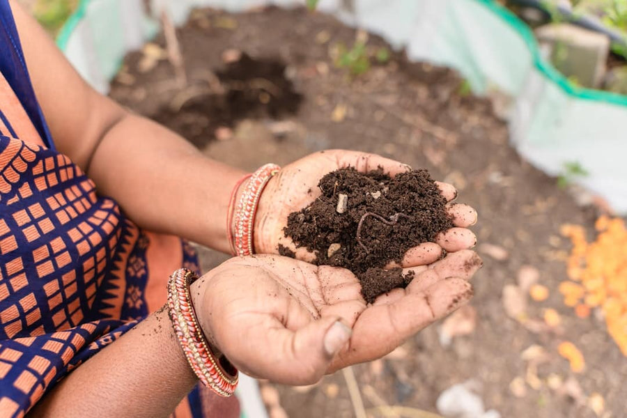 Discover Brown County's Rich Soil Microbiome & Eco-Tours