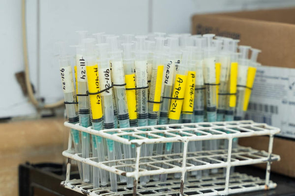 Exploring Soil Biology Testing Methods in Brown County